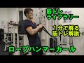 【1分で解る筋トレ解説】ロープハンマーカール※ケーブルマシン【筋トレライブラリー】