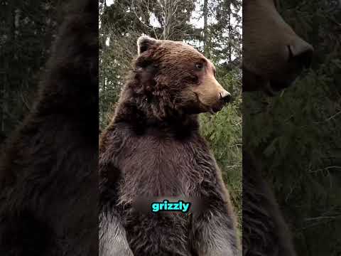 Nigdy nie popełniaj tego błędu przy tych zwierzętach?