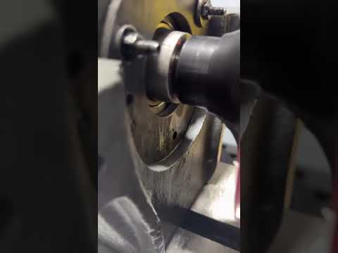Servidiesel Short 3