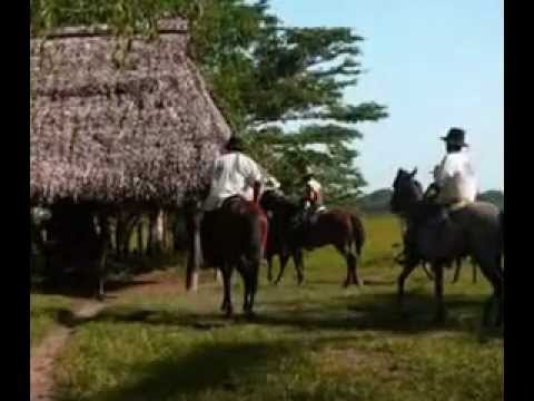 ANTONIO CASTILLO  - HOMENAJE AL LLANO ADENTRO.flv