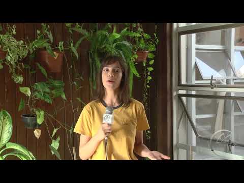 Conheça a UFPA   Reitoria