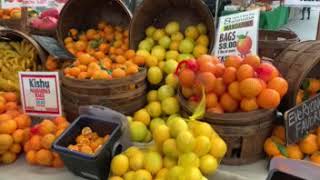 Un Día En El Mercado de Agricultores - Veroica y Federico