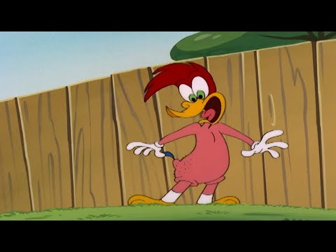 Capa de Pica-Pau | Os poderes especiais do Pica-Pau | Desenhos Animados em Português