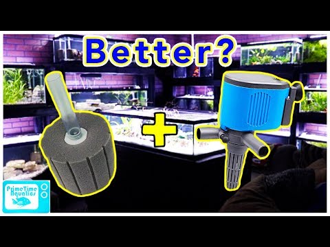 Should You Add a Powerhead to a Sponge Filter? Pros and Cons