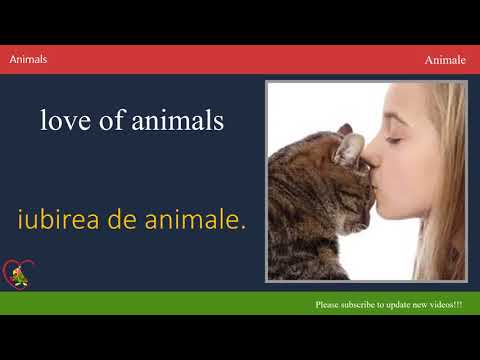 1900 de cuvinte cele mai frecvente în limba engleză