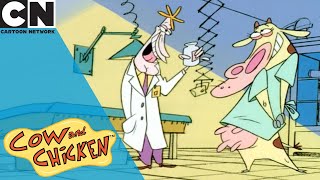 Cow and Chicken | Part Time Job | Cartoon Network UK