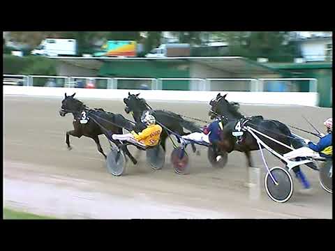 Trotto 28/11/2020 - 4ª corsa