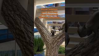 Royal Caribbean Icon of the Seas Sculptures