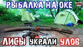 Рыбалка ока куда поехать на рыбалку