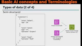 Domain 1.1, Explain basic AI concepts and terminologies