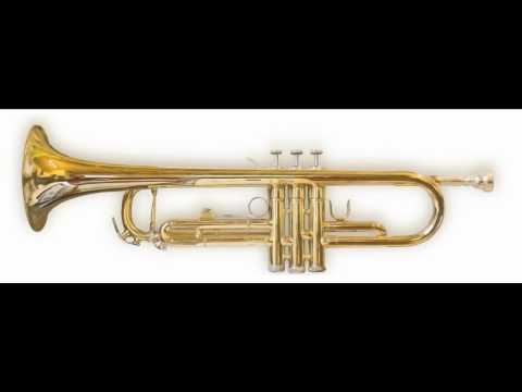 USTAJ VOJSKO - ZNAČI TRUBA - Dizanje Zastave