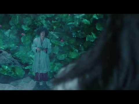 Love of a life time - Shu Qi FMV