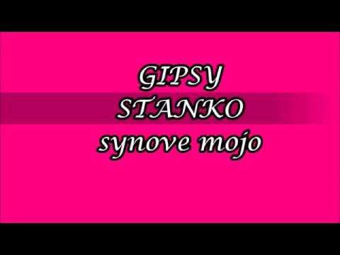 GIPSY STANKO SYNOVE MOJO