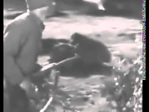 Combat! S04E23   The Ringer 2 3