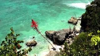 Romeo Santos-Fui a jamaica (letra)
