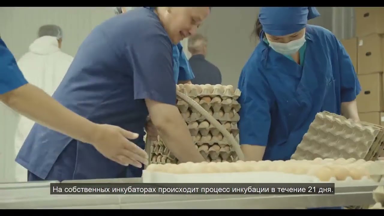 Презентационный ролик Алатау Кус Remedy