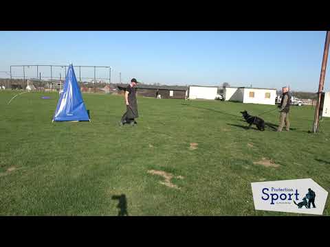 Der Schutzdiensthelfer