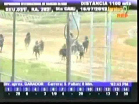 Resumen Lunes, 16 de Julio de 2012 - Rancho Alegre