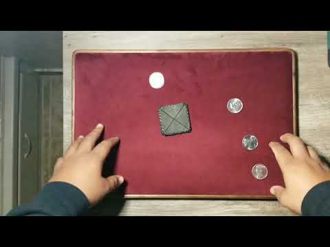 THE BEST COIN WALLET? TRAVELER COIN WALLET!