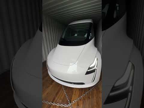 Encontrei um contêiner gigante que caiu no mar com um caminhão da tesla dentro 😂