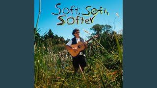 Cover art for nice try