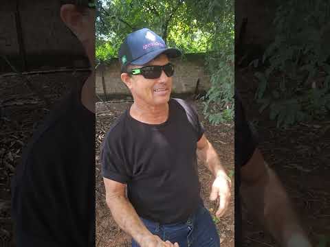 Éu  conversando com meus amigos internautas na  casa do meu irmão pontal do Araguaia Mato Grosso 