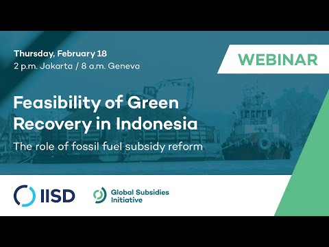 Webinar | Feasibility of Green Recovery in Indonesia: The role of fossil fuel subsidy reform