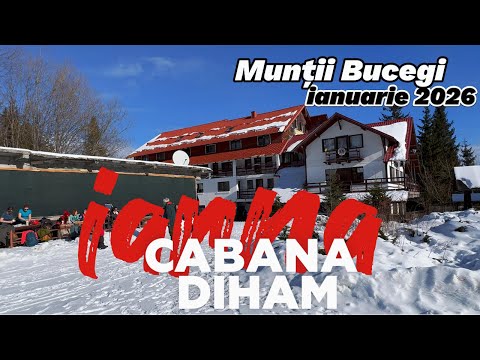 Peisaje FEERICE de iarnă pe TRASEUL Gura Diham - Cabana Diham, Munții Bucegi, ianuarie 2026 #nature