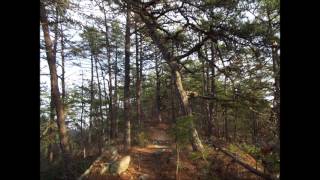 Special Rider (Skip James cover)