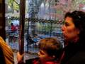 Round And Round In Central Park