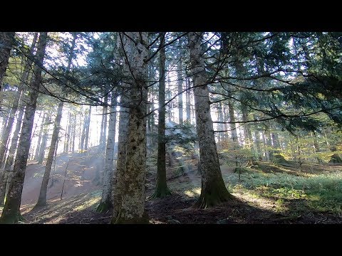 Se hai paura di innamorarti, non guardare questo video