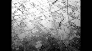 Surrogate - Upside Down Picture