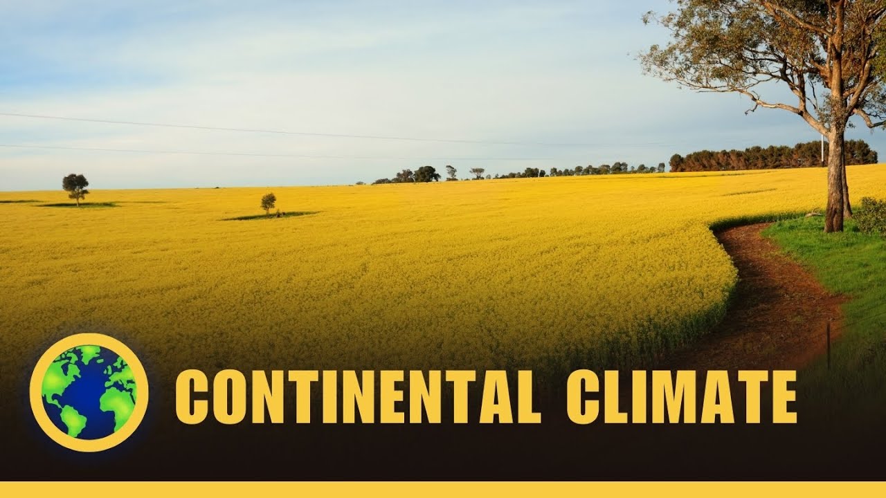 The Continental Climate -  Climates #5