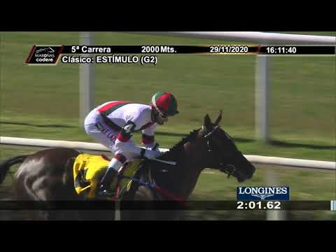 201129 c05 1° INSTAMANCHA - MAROÑAS