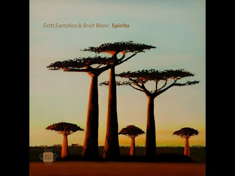 Dott.Santafeo & Bruit Blanc - Spirito
