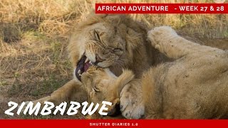 The spectacular Victoria Falls and wildlife of Zimbabwe