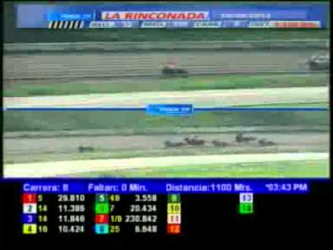 8VA CARRERA SABADO 28 ABRIL LA RINCONADA AUDIOHIPISMO