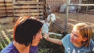 The Great Debate: BREEDING or RETIRING Luna the goat