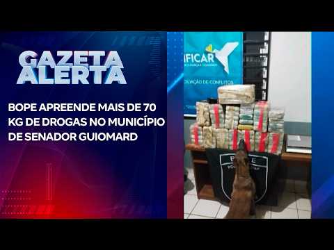 BOPE APREENDE MAIS DE 70 KG DE DROGAS NO MUNICÍPIO DE SENADOR GUIOMARD