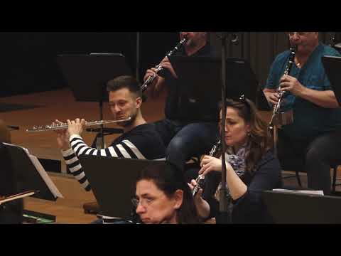 Klasická hudba zvenčí a zevnitř - Beethovenova Pastorální, Scéna u potoka *