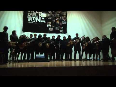 "Ilha" de escstunis -  13º Tunicoto