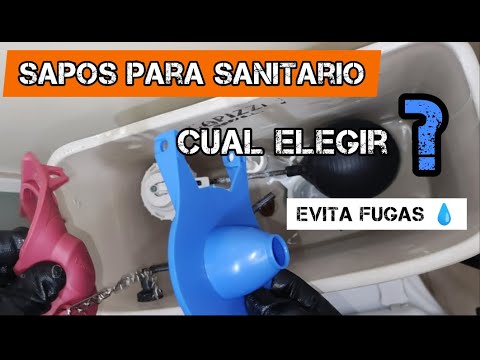 The basics of toilet toads, how to choose and change the toad