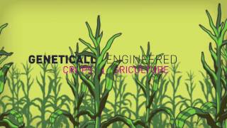 Greenpeace: Genetic engineering