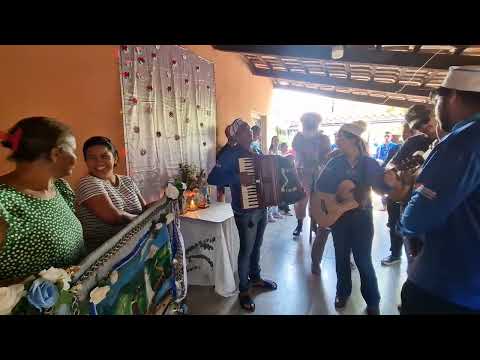 Folia de Santo Antônio de Goiás 