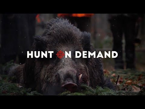 Drückjagdmärchen #6 - Drückjagdmix - Jagen NRW Hunt on Demand Trailer