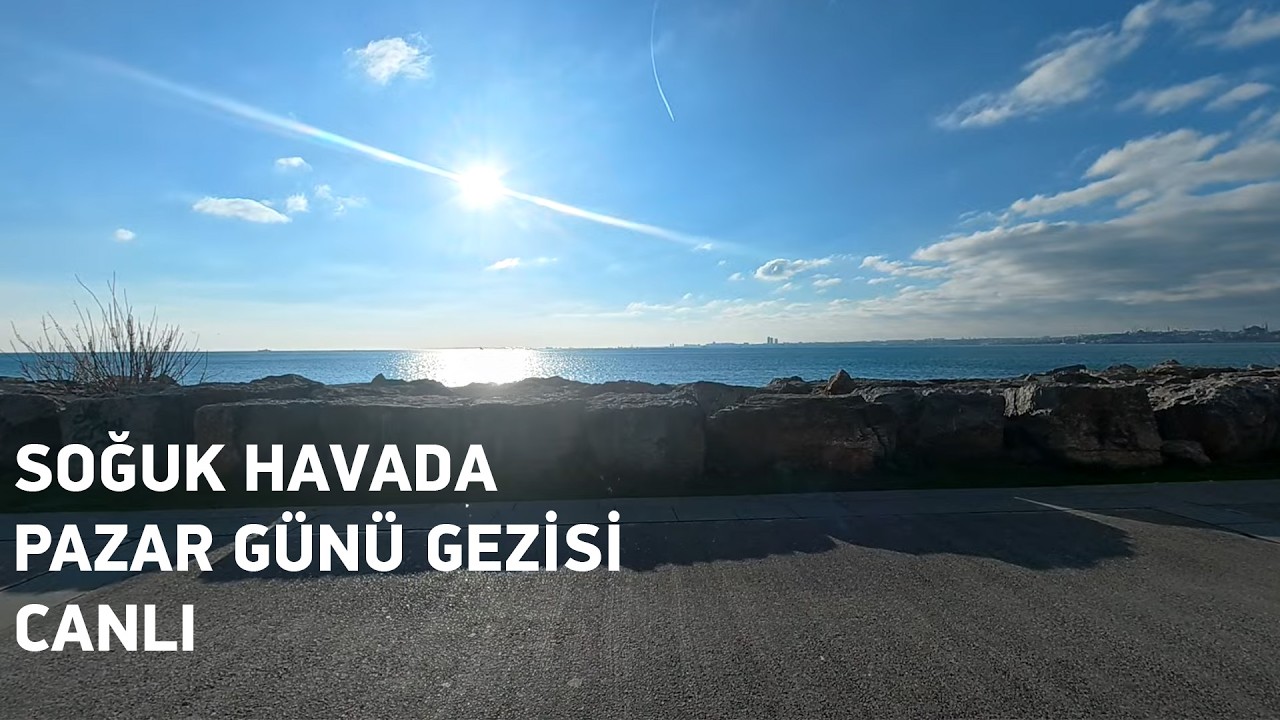 Pazar Gezisi / Canlı