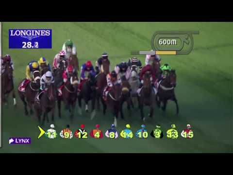 Race 3 - Meydan Sprint Sponsored By Arabian Adventures