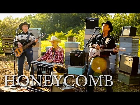 HONEYCOMB | The Bushwackers Band - OFFICIAL Music Video