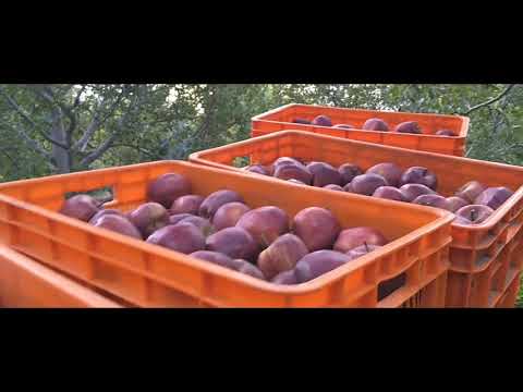 The Heritage Indian Village (KALPA)