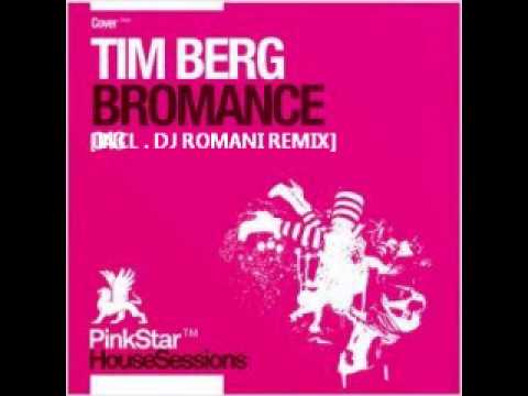 TIM BERGLING / AVICII - bromance (dj romani remix) [OFFICIAL COVER]